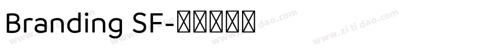 Branding SF字体转换